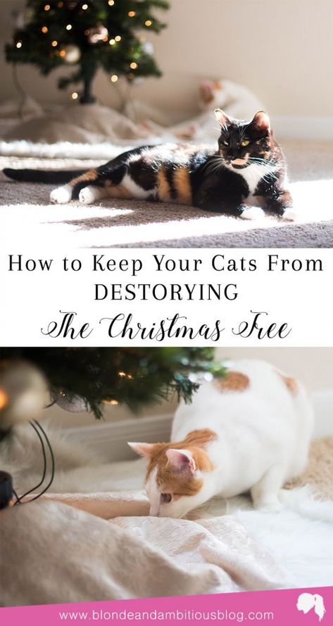 Christmas Decor Cat Proof, Protect Christmas Tree From Cat, Christmas Tree For Cats Owners, Keeping Cats Out Of Christmas Tree, Catproof Christmas Tree, Christmas Tree Ideas With Cats, Cats Christmas Tree, How To Keep Cats Out Of Christmas Tree, Cat Proof Christmas Tree Ideas