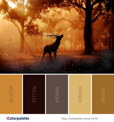 Color Palette ideas #icolorpalette #colors #inspiration #graphics #design #inspiration #beautiful #colorpalette #palettes #idea #color #colorful #colorscheme #colorinspiration #colorcombinations #colorcombos Samhain Color Palette, Autumn Forest Color Palette, Campfire Color Palette, Animal Color Palette, Color Palette Theme, Color Palette Ideas, Morning Sunlight, Colors Inspiration, Hex Color Palette