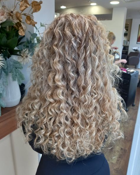 ✨ Loving this stunning transformation by Jo! Blonde curls never looked so good! 💛✨   #paulkemphairdressing #warringtonsalon #hairmakeover #hairstylist #hairmasters #blondecurls #naturalcurls Natural Curls Blonde Highlights, Champagne Blonde Curly Hair, Perms For Shoulder Length Hair, Curly Blonde Hair Naturally, Ash Blonde Curls, Blonde Curls Natural, Blonde Curly Hair Highlights, Light Blonde Curly Hair, Long Ringlet Curls