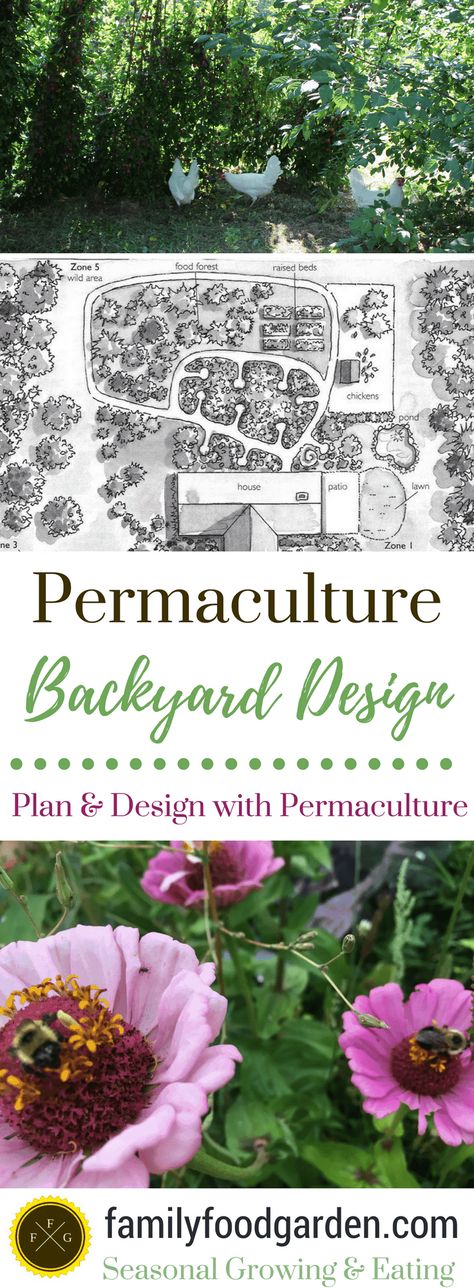 Permaculture Permaculture Backyard, Backyard Permaculture, Backyard Design Plans, Food Forest Garden, Urban Garden Design, Backyard Garden Layout, Permaculture Gardening, Permaculture Design, Edible Landscaping