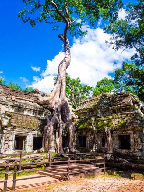 ta-phrom-temple-angkor-siem-reap-province-cambodia_Aritra Roy _ Published on April 23, 2022 - The famed Ta Prohm Temple Ta Prohm Temple, Ta Prohm, Siem Reap, Angkor, Cambodia, Temple, House Styles, Ruins