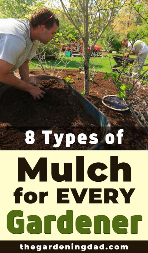 Garden Mulch, Types Of Mulch, Moonshine Recipes, Wood Mulch, Types Of Herbs, Different Types Of Flowers, Backyard Gardening, Garden Types, Garden Backyard