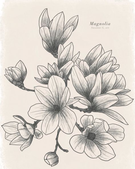 Pour l’avant dernier jour du mois de mars, je vous présente la fleur du mois : Magnolia ! 🤍 Cette magnifique fleur qui se trouve sur les arbres (y’en a à coté de chez moi un vrai plaisir) annonce le début du printemps. Je vais pas vous mentir je pense que c’est l’une de mes fleurs préférés que j’ai dessiné dans mon calendrier 🤭 🏷️ #art #artwork #artist #girl #painting #digitalart #flower #draw #drawing #paint #fyp #fypシ #fypage Flower Draw, Artist Girl, Girl Painting, Draw Drawing, Art Artwork, Mars, Magnolia, Paint, Drawings