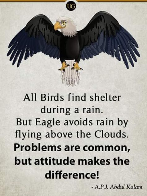 Eagle Mentality Eagle Facts, Negative Friends, Apj Abdul Kalam Quotes, Abdul Kalam Quotes, Inspirational Quotes Encouragement, Apj Abdul Kalam, Apj Quotes, Positive Good Morning Quotes, Kalam Quotes