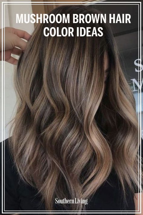 Cool Tone Brown Hair Highlights, Mushroom Lowlights, Mushroom Brown Hair With Bangs, Mushroom Colour Hair, From Blonde To Light Brown Hair, Mushroom Colored Hair, House Of Colour Summer Hair Color, Mushroom Brown Hair Color With Highlights, Hoc Summer Hair Colors