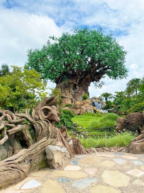 Wdw Animal Kingdom, Animal Kingdom Wallpaper, Magic Kingdom Aesthetic, Animal Kingdom Dining, Disney World Animal Kingdom, Disney Animal Kingdom, Plant Kingdom, Disney Vacation Planner, Xavi Hernandez