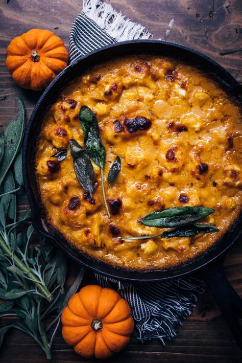 Pumpkin Cauliflower Gratin Pumpkin And Cauliflower Recipes, Fall Pasta Recipes Vegetarian, Autumn Vegan Meals, Pumpkin Entree Recipes, Fall Pescatarian Recipes, Fall Cauliflower Recipes, Seasonal Fall Recipes, Vegetarian Pumpkin Recipes, Vegetarian Autumn Recipes