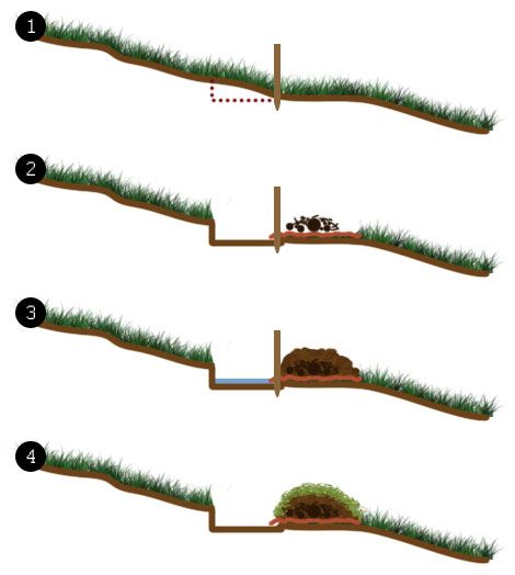 Food Forest Garden, Simple Garden, Plantas Bonsai, Permaculture Design, Sloped Garden, Permaculture Gardening, Food Forest, Forest Garden, Water Retention