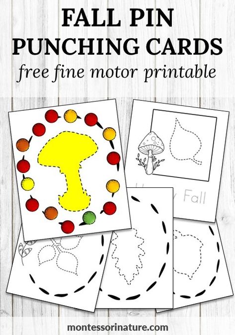 Free Printable - Fall Pin Punching and Tracing Cards - Montessori Nature Printables Pin Punching Printables, Montessori Pin Punching, Pin Punching Montessori, Push Pin Art Template Free Printable, Friendship Celebration, Push Pin Art, Fall Facts, Nature Printables, Free Educational Printables