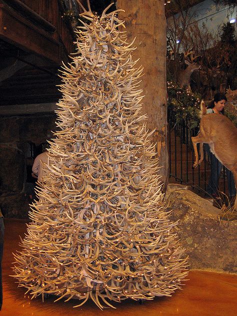 a deer antler tree by ashleyv, via Flickr Deer Antler Tree, Antler Christmas Tree, Antler Tree, Deer Hunting Decor, Antler Projects, Deer Antler Crafts, Antler Ideas, Deer Antler Decor, White Christmas Tree Ideas