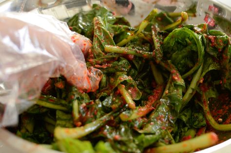 Turnip Green Kimchi; the Kimchi of Autumn Turnip Kimchi Recipe, Vegan Kimchi Recipe, Anchovy Sauce, Shrimp Sauce, Kimchi Recipe, Turnip Greens, Korean Recipes, Dried Mushrooms, Red Chili Flakes