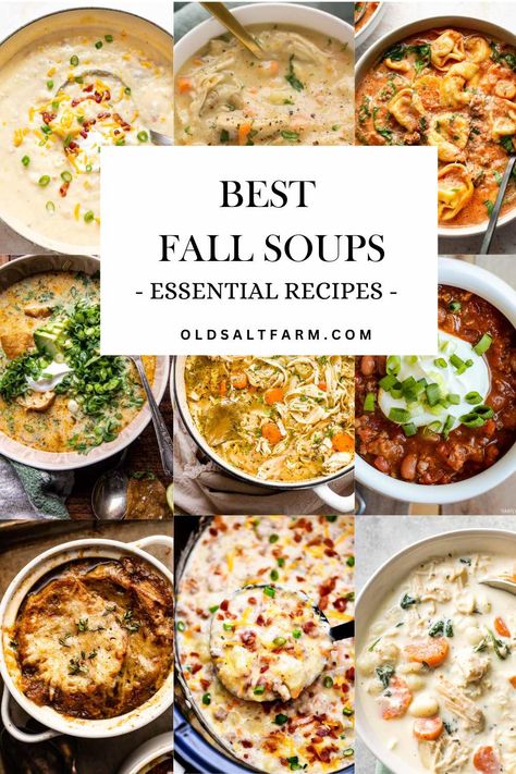 Best Fall Soups - Essential Recipes | Old Salt Farm Fall Soups Crockpot, Best Fall Soups, Healthy Fall Soups, Soup And Salad Combo, Cozy Winter Recipes, Warm Soup Recipes, Cozy Fall Recipes, Fall Soup, Easy Autumn Recipes