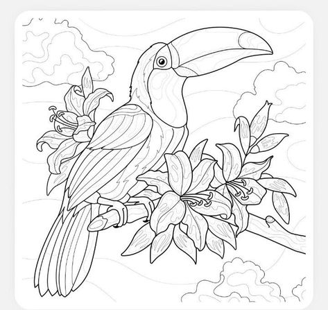 Toucan Drawing, Flora And Fauna Drawing, Dragon Tattoo Ideas, Bird Coloring, Animal Tattoo Ideas, Blackwork Designs, Whimsical Art Paintings, Fabric Painting Techniques, Coloring Art