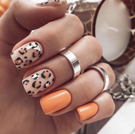 Autumn Leopard Print Nails, Nail Designs Leopard Print, Nail Designs Leopard, Leopard Nails Designs, Tortoiseshell Nails, Leopard Nail Designs, Character Nails, Camo Nails, Cheetah Nails