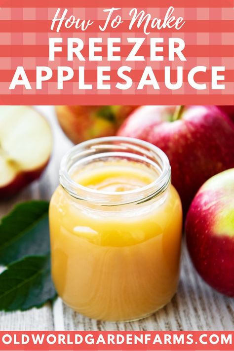 A photo of homemade freezer applesauce that is ready to be served and enjoyed. Photo from Canva Homemade Applesauce Freezer, Homemade Applesauce For Baby, Freezing Homemade Applesauce, Freezing Applesauce Recipes, How To Freeze Applesauce, Freezer Apple Recipes, Freezing Applesauce, Freezer Applesauce, Frozen Applesauce