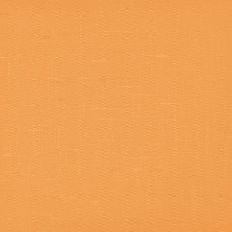 Pale Orange Background, Web Cafe, Light Orange Background, Fall Homescreen, Phone Makeover, Ipad Picture, Orange Theme, Blank Background, Plain Background