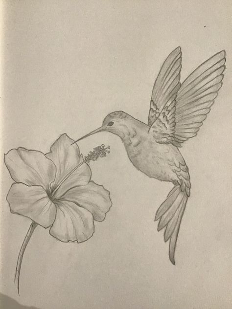 Drawing Of Hummingbird, Humming Bird Drawing Realistic, Bird Sketch Realistic, Hummingbird Drawing Simple, Hummingbirds Drawing, Mockingbird Drawing, Art To Draw, Hummingbird Sketch, Bird Sketches