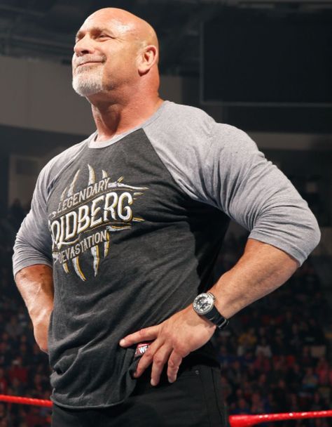 Male Wrestling, Bill Goldberg, Bald Men, Wwe Wrestlers, Arnold Schwarzenegger, Wwe Superstars, Ufc, Wwe, Wrestling