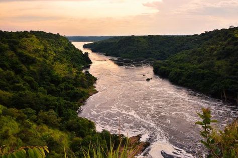 9 interesting facts about the Nile River Places In Egypt, Hydroelectric Dam, Nile Delta, River Basin, Egypt History, Nile River, Ancient Origins, Beautiful Travel Destinations, The Nile