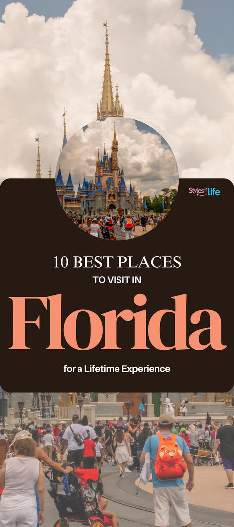 Take a look at our list of Florida’s iconic tourist spots and state attractions, all of which promise an unforgettable exploration of this vibrant and dynamic state. Places To Visit In Florida, Places In Florida, Tourist Spots, Tourist Places, Sunshine State, Best Places To Visit, Cherished Memories, The Sunshine, Family Vacation