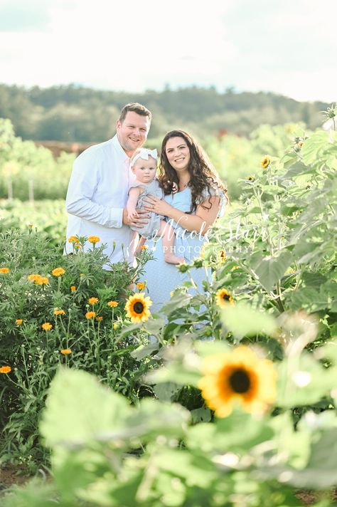 family of three stands in field of yellow and orange wildflowers during family portraits with Saratoga Springs NY family photographer Nicole Starr Photography Orange Wildflowers, New York Cake, Themed Cake Smash, Happy First Birthday, Saratoga Springs Ny, Spring Family, Family Of Three, Spring Photos, Saratoga Springs