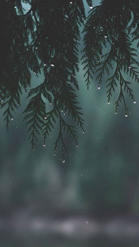 Ground Wallpaper, Rainy Day Photography, Rainy Day Aesthetic, World Most Beautiful Place, Rain Wallpapers, Natural Photography, Wallpaper Disney, Dark Green Aesthetic, Pc Wallpaper