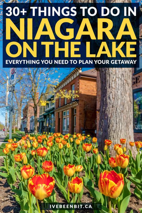 30+ Charming Things to Do in Niagara-on-the-Lake From a Local » I've Been Bit! Travel Blog Niagara Falls Vacation, Niagara Falls Trip, Gallery Cafe, Packing Travel, Ontario Travel, Local Fruit, Niagara On The Lake, Niagara Falls Canada, Canada Travel Guide