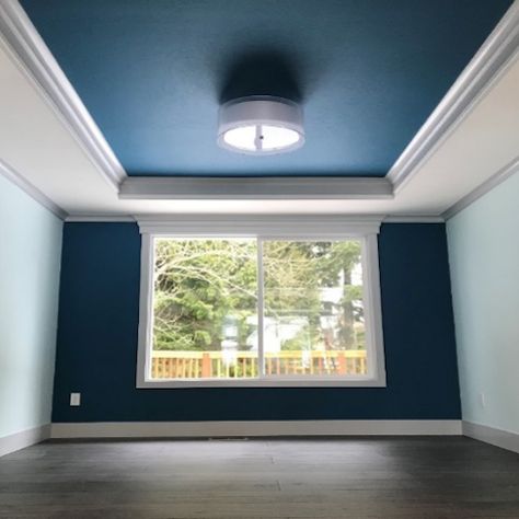 Ceiling Color Paint Blue Ceilings Living Room, Navy Blue Tray Ceiling, Ceiling Design Color Combination, Cove Ceiling Paint Ideas, Basement Wall Color Ideas With Black Ceiling, Ceiling Colours Ideas, Recessed Ceiling Paint Ideas, Ceiling Colours Paint, Ceiling Paint Colors Ideas