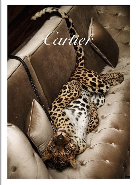 Saint Laurent Aesthetic, Cheetah Print Wallpaper, Money Poster, Glam Wall Art, Cartier Panthere, Old Money Aesthetic, Print Wallpaper, Leopards, Adidas Samba