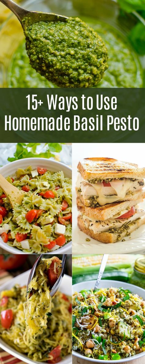 Pesto Uses Easy Recipes, How To Use Pesto, Pesto Meals, Ways To Use Pesto, Yoli Recipes, Recipes Using Pesto, Pesto Uses, Pesto Dishes, Homemade Basil Pesto