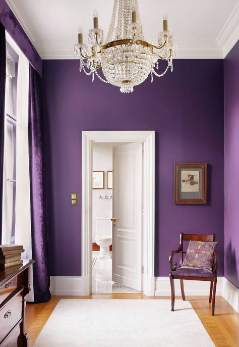 9 Rare Colors to Decorate the House #architecture #decor #CapeCoral #Fortmyers @AlmostHomeFL #HOME #SWFL #SWFloridaRealEstate Purple Room, Accent Wall Colors, Modern Room Decor, Purple Rooms, Purple Decor, Best Paint Colors, Purple Home, Cosy Home, Purple Walls