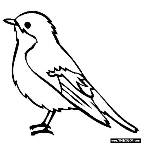 Pied Flycatcher Coloring Page | Free Pied Flycatcher Online Coloring Simple Bird Drawing, Bird Outline, Bird Coloring, Bird Template, Valentines Day Coloring Page, Bird Clipart, Bird Coloring Pages, Robin Bird, Online Coloring Pages