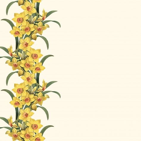 Daffodils Border Daffodil Illustration, Page Boarders, Paper Borders, Scrapbook Paper Designs, Vintage Botanical Illustration, Back Of Neck Tattoo, Free Vintage Printables, Travel Drawing, Botanical Illustration Vintage