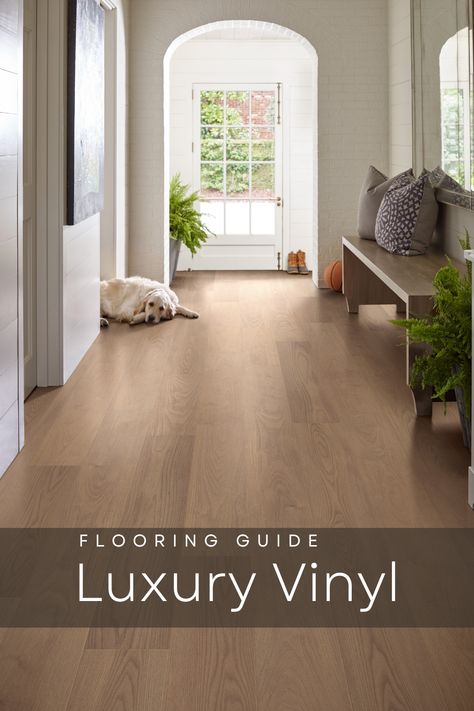 Beautiful luxury vinyl planks, look like real hardwood floors.  Long entryway shown with a bench leads to full glass window door.  A fluffy blond labrador lounges on the floors.  She looks content and satisfied with the luxury vinyl flooring her owner choose.  The floors are soft for her to walk on and are easier for her owner to clean up when she tracks in mud. Vinyl Flooring For Living Room, Luxury Vinyl Plank Flooring With Dark Cabinets, Vynil Flooring Ideas Living Room, Modern Vinyl Flooring Living Room, Modern Vinyl Flooring Bathroom, Light Brown Vinyl Flooring, Hardwood Vs Vinyl Plank, Mid Tone Lvp Flooring, Luxury Vinyl Plank Flooring Kitchen With White Cabinets