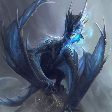 Dragons Art Page 🐲🐉 on Instagram: “Blue-Lightning Wingedcrawler! What would you name this electrifying beauty?? ___________ DOUBLE TAP to pet the DRAGON 🐲 💕🐲 ⠀⠀⠀⠀⠀⠀⠀⠀⠀…” Blue Dragon, In The Middle, The Middle, Building, Water, Blue, Instagram, Art