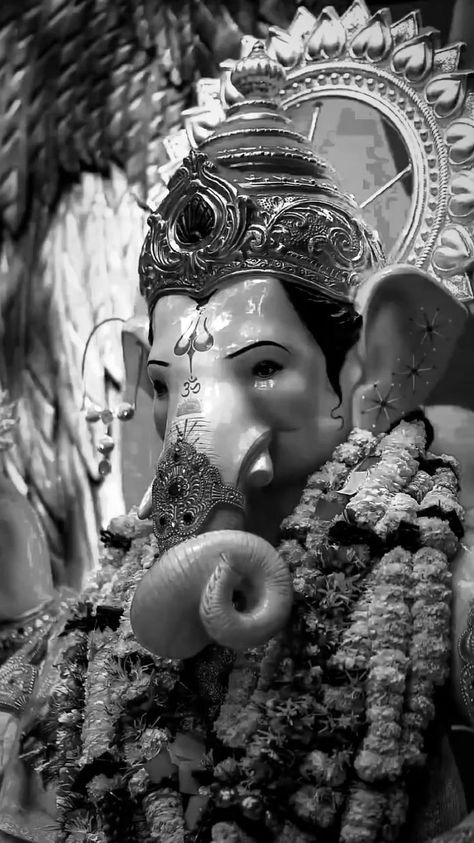 ganesh chaturthi | ganesh chaturthi video status festive #bappa2023 Ganesh Chaturthi Video, Ganesh Pic, Vintage Indian Fashion, Ganesh Chaturthi Photos, Ganesh Chaturthi Status, Photos Of Ganesha, Ganpati Bappa Photo, Happy Ganesh Chaturthi Images, Lord Rama Images