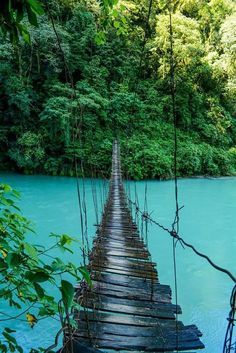 #trekking #sunset #beach #travelling #fun #mountain #photo #life #holiday #landscapephotography #art #ig #traveltheworld #bhfyp #getoutside #hike #wildlife Blue Water, In The Middle, The Middle, Lush, Bridge, Trees, Water, Green, Travel