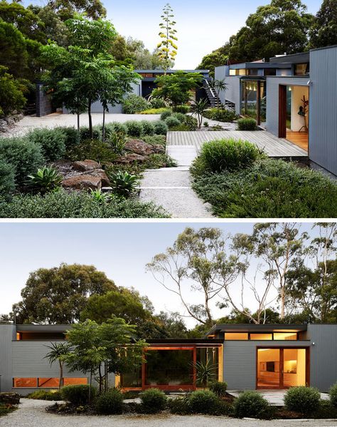 This modern house has a lush courtyard that guides visitors to the front door. #Landscaping #Courtyard Landscaping Courtyard, Fiona Brockhoff, Twilight House, Front Door Landscaping, Modern Bureau, Modern Renovation, Rest House, Casa Patio, Casa Exterior