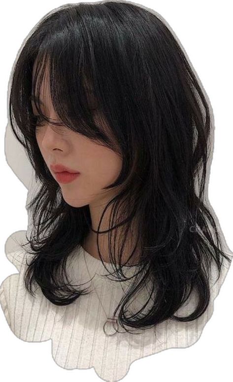 Emo Haircuts, Korean Haircut, Layered Haircuts For Medium Hair, Stylish Haircuts, Shoulder Length Hair Cuts, Haircuts For Medium Hair, Shoulder Length Hair, Korean Hairstyle, Layered Haircuts