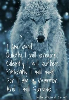 Sanna Ord, Lup Singuratic, Lone Wolf Quotes, I Will Survive, I Am A Warrior, Inspirerende Ord, Wolf Quotes, Wolf Love, She Wolf