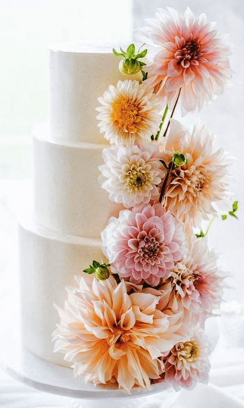 Dahlia Birthday Cake, Wedding Cake With Dahlias, Wedding Cake Dahlia, Dahlia Wedding Cake, Dahlia Cake, Champagne Wedding Cakes, Dahlia Wedding, Colorful Wedding Cakes, Painted Wedding Cake