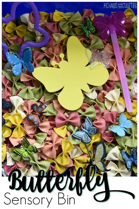 Life Cycle Of A Butterfly Toddlers, Butterflies Activities Preschool, Butterfly Sensory Activities, Butterfly Fine Motor Activities, Butterfly Curriculum, Butterfly Sensory Bin, Butterfly Activities For Preschool, Butterflies Preschool, Preschool Butterfly