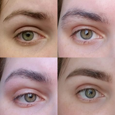 Took quarantine as an opportunity to grow out and reshape my eyebrows - I thought you all would appreciate the progression! #makeup #beauty Grown Out Eyebrows, Growing Out Eyebrows Stages, Growing Out Eyebrows, Overplucked Eyebrows, Grow Eyebrows Faster, Brow Hacks, Grow Eyebrows Thicker, Bushy Eyebrows, How To Grow Eyebrows