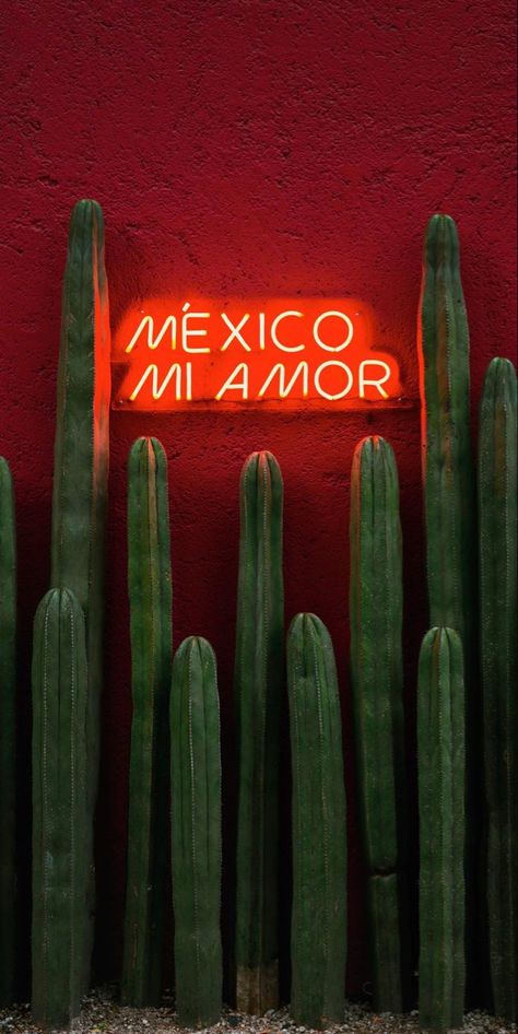 Mexican Wallpaper Aesthetic, Mexican Wallpaper, Mexican Restaurant Decor, Mexico Wallpaper, Mexican Culture Art, Mexico Art, Spring Wallpaper, Images Esthétiques, Gongs