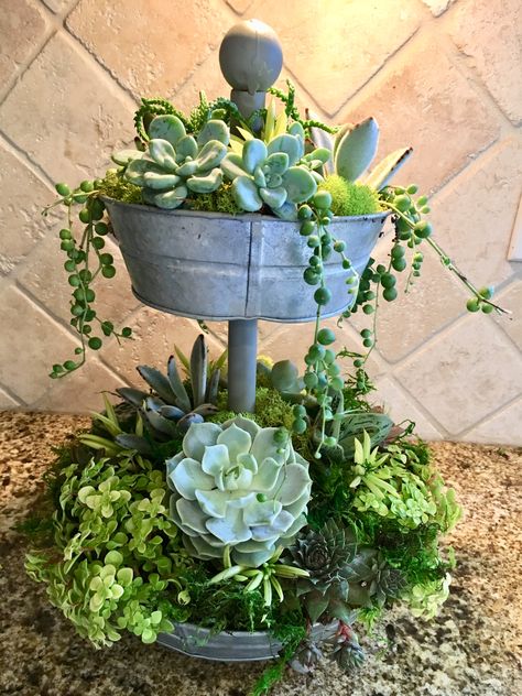 Succulent Crafts, Indoor Mini Garden, Succulent Tray, Cactus Ideas, Tall Succulents, Succulent Containers, Galvanized Tray, Succulent Display, Tier Trays