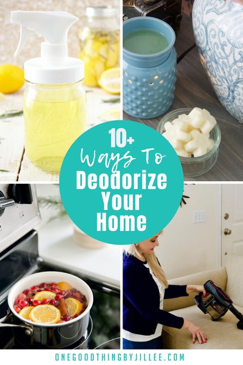 Check out these all-natural ways to make your home smell good by getting rid of bad odors and introducing lovely scents to your whole house! Make House Smell Clean, House Odor Remedies, Make My Home Smell Amazing, How To Get Rid Of Bad Smell In House, Homemade Odor Eliminator, Boil To Make House Smell Good, Diy Natural Room Deodorizer, How To Make Your House Smell Amazing, Natural Deodorizer For Home