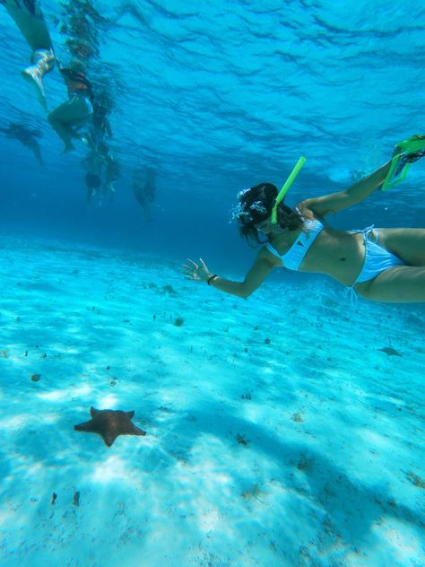 Snorkeled with starfish just 30 minutes from the Island of Cozumel in a beach called, ‘Playa Cielo’. Cozumel Snorkeling, Caribbean Honeymoon, Nature Trip, Cozumel Mexico, 2025 Vision, Cozumel, Trip Ideas, Summer Photos, Riviera Maya