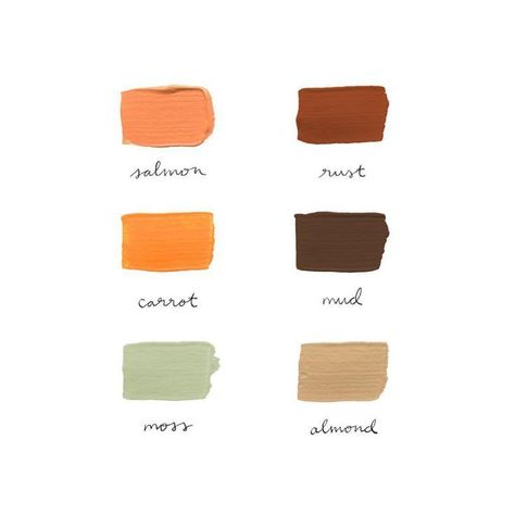 Color theory, color combinations, color inspiration, color palette, tan, neutrals, sage, carrot orange, salmon pink, rust Crunchy Leaves, Orange Color Palettes, Brown Color Schemes, Palette Design, Bedroom Color, Color Crush, Color Inspo, Living Room Colors, Color Stories