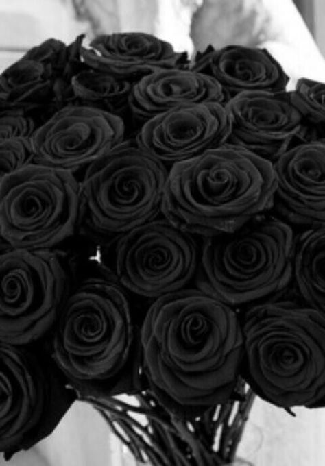 If you ever want to win my heart by me a bouquet of black roses. Black Rose Picture, Black Rose Bouquet, Disney Instagram, Black Roses, Rainbow Roses, Images Esthétiques, All Black Everything, Street Fashion Photography, Black Flowers