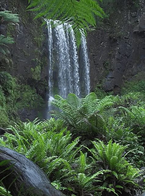 #gif #waterfalls #runninginspiration #nature Water Paint, Falling Water, Waterfall Photography, Beautiful Landscape Wallpaper, Beautiful Gif, Green Landscape, Nature Gif, Beautiful Waterfalls, Pretty Wallpapers Backgrounds